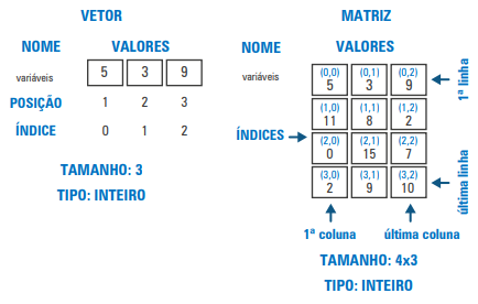 Exemplo de vetor e matriz